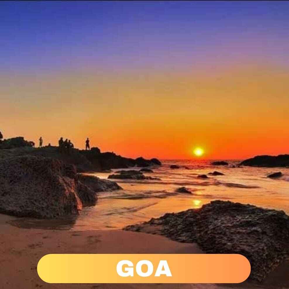 Distribution and super stockist opportunities in Goa for entrepreneurs