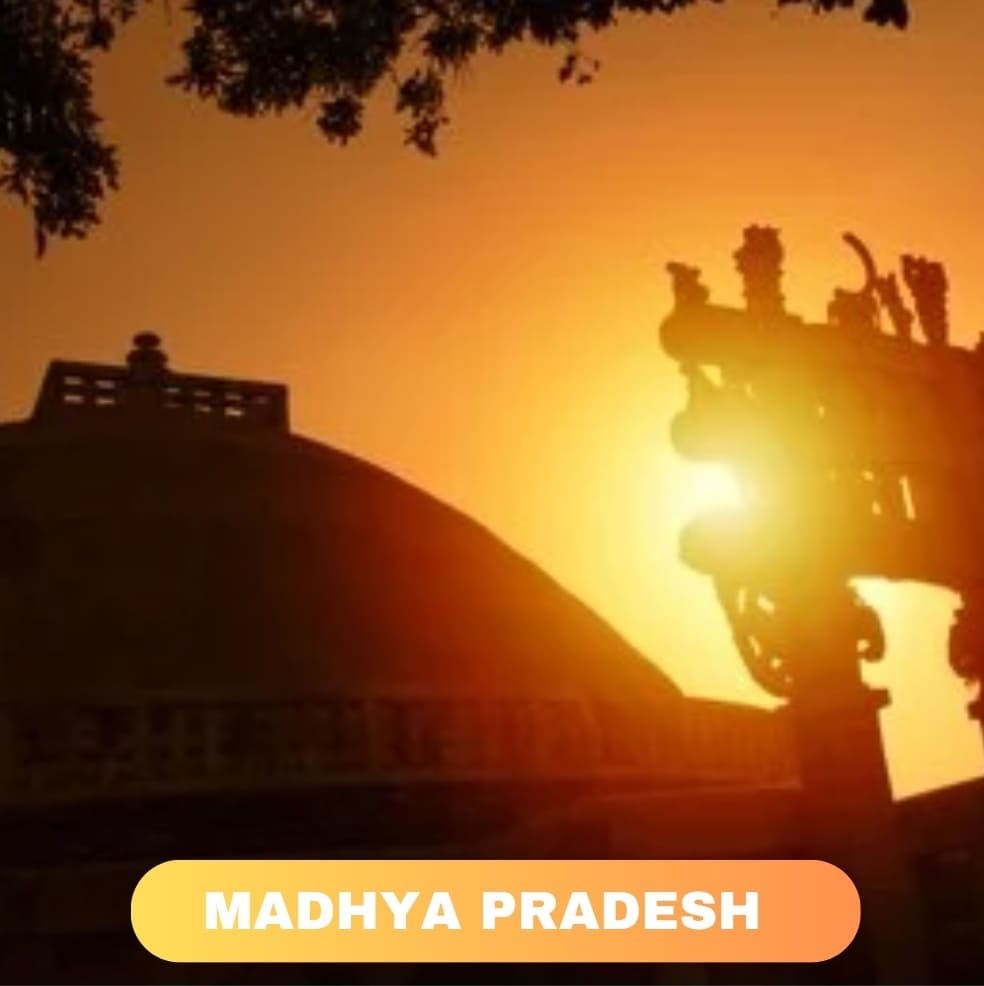 Indian Distributorship business models in Madhya Pradesh