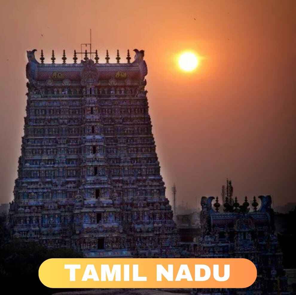 Super stockist and distribution business opportunities in Tamil Nadu